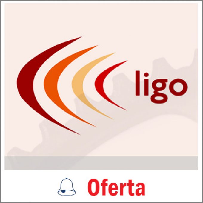 Ligo Accountants Ltd
