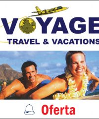 Voyage Travel & Vacation – Gina Domanus