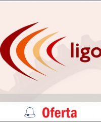 Ligo Accountants Ltd